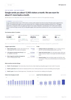 One-page CEO summary: first page