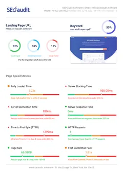 Page audit report (PDF): first page