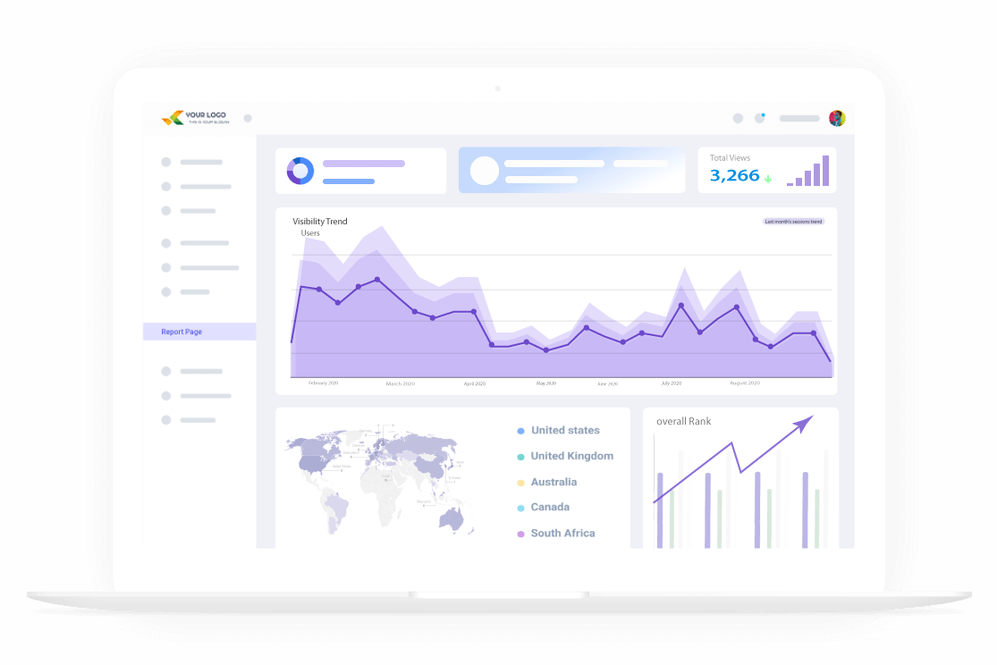 Website Audit Software