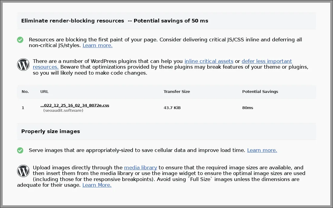 PageSpeed Insights suggested some opportunities area to improve the website's performance