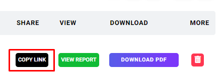 Share Lead Audit Report