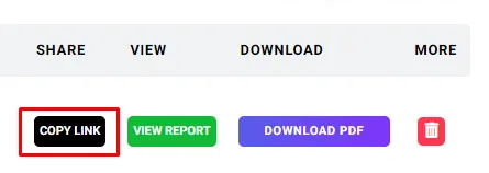 Share Lead Audit Report