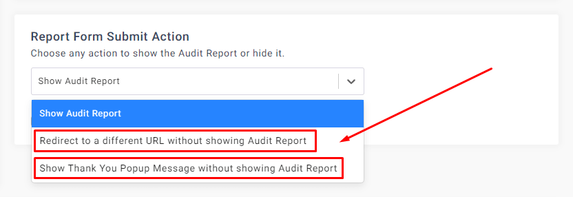 Send Audit Report to Email Directly