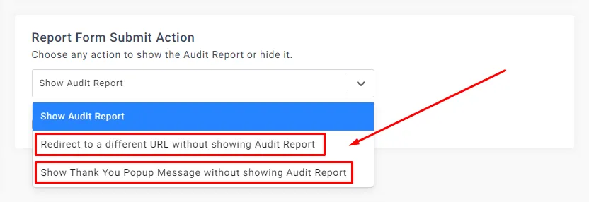 Send Audit Report to Email Directly