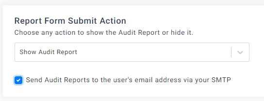 Share audit report via email