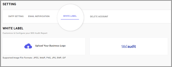  White Label SEO Audit Report Setting