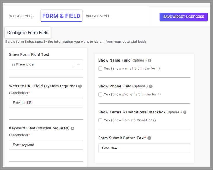 Configure the form field section by adding the website URL, keyword, email, name, phone field, and terms & condition checkbox